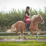 IHSGB - OT Sep 2014 - 30090